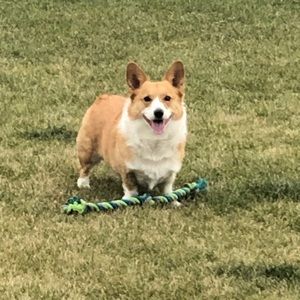 Meet your Posher, Sam